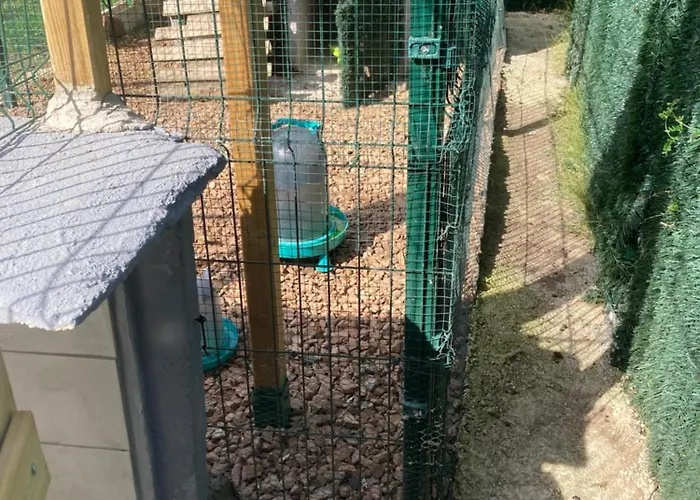 Mini-villa 1 פורטו-וישיו