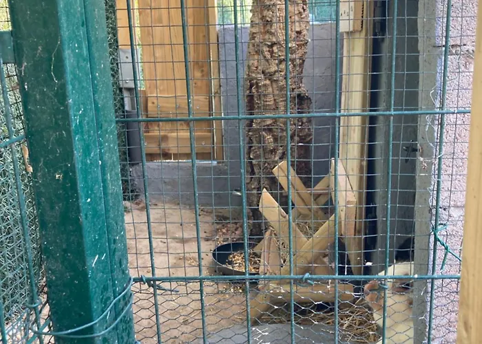 Mini-villa 1 פורטו-וישיו