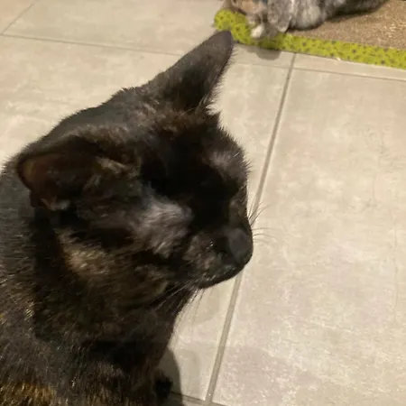 Mini-villa 1 פורטו-וישיו