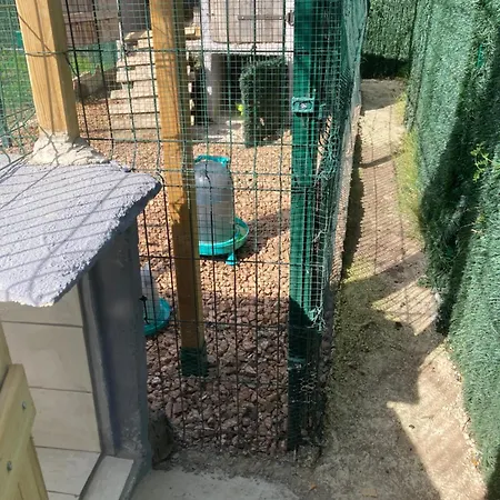 Mini-villa 1 פורטו-וישיו