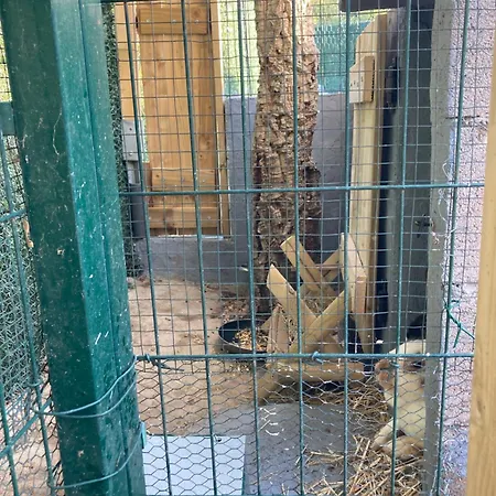 Mini-villa 1 פורטו-וישיו