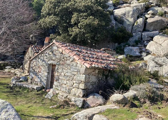 Mini-villa 1 * Porto-Vecchio (Corsica)