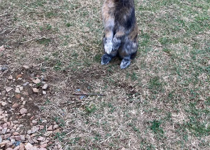 Mini-villa 1 度假居 *